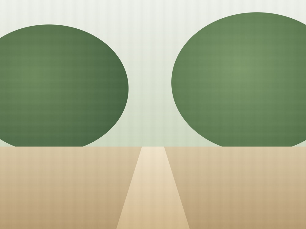Olive garden path at midday